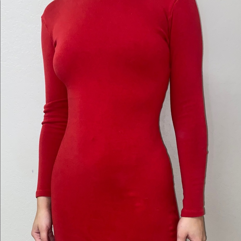 Zara Long Sleeve Mini Bodycon Dress